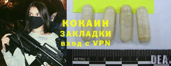 ECSTASY Алзамай