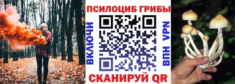 Псилоцибиновые грибы мицелий сколько стоит Кировград