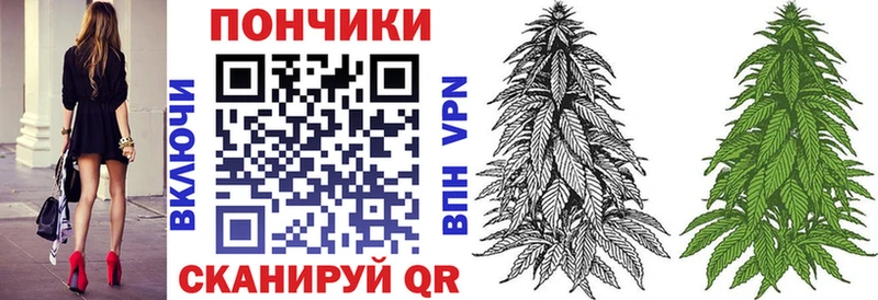 Конопля гибрид  Кировград 